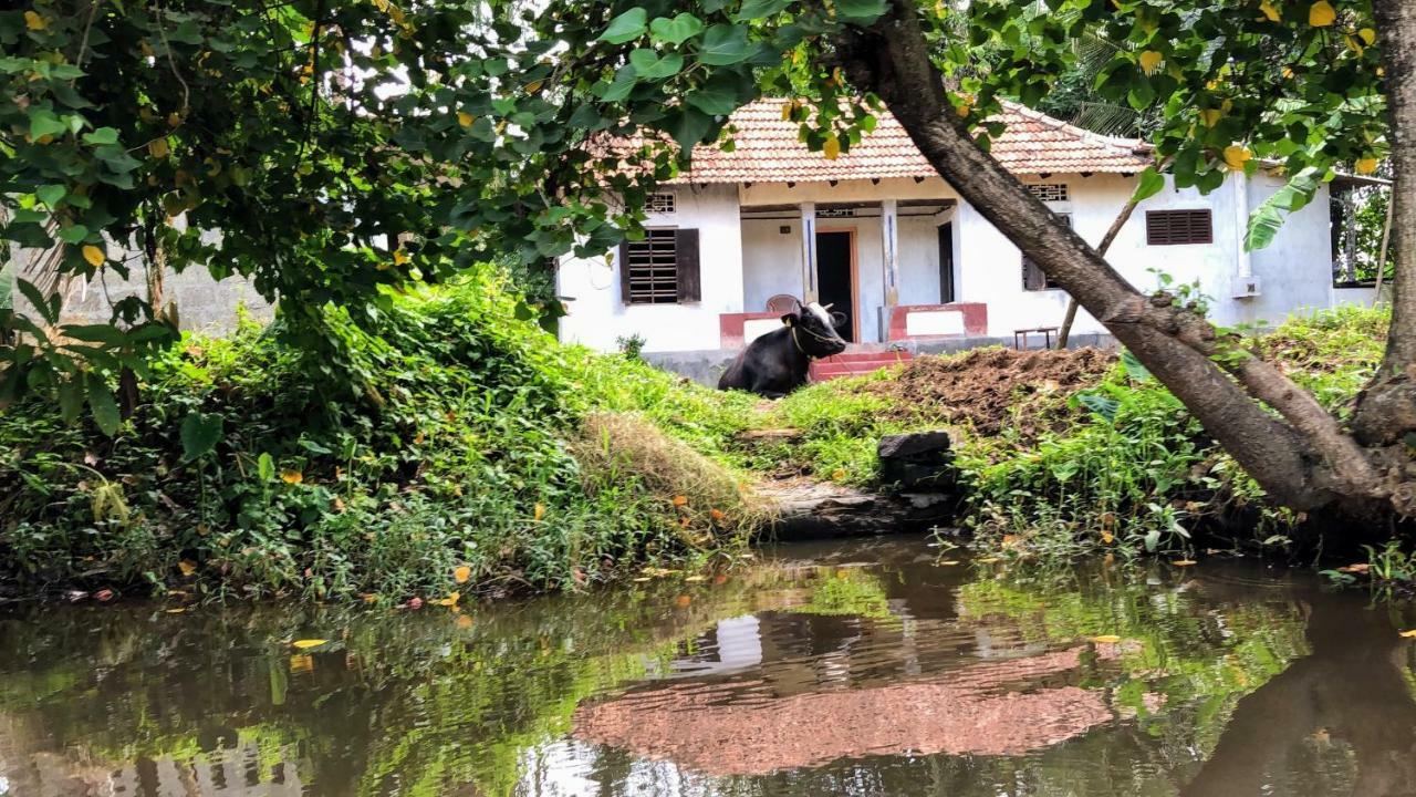 아야나스 홈스테이 Alappuzha 외부 사진